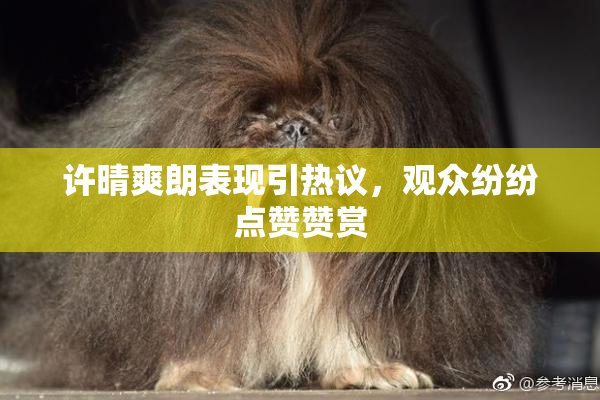 许晴爽朗表现引热议，观众纷纷点赞赞赏