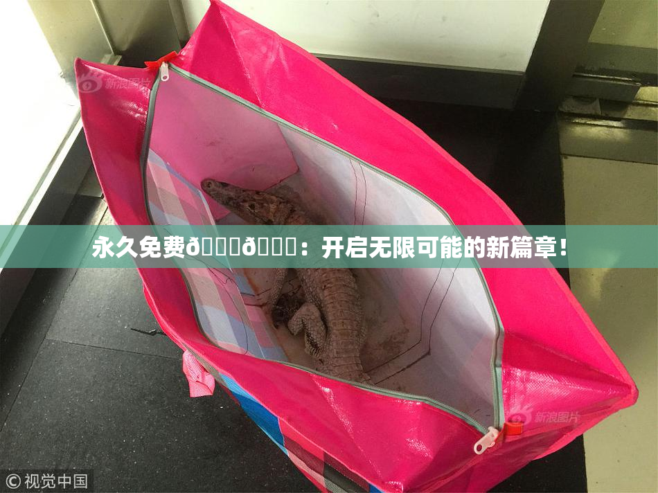 永久免费🔞🔞：开启无限可能的新篇章！