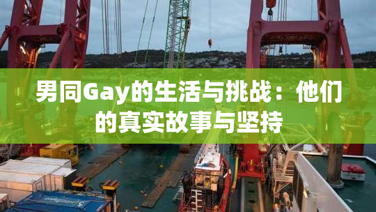 男同Gay的生活与挑战：他们的真实故事与坚持