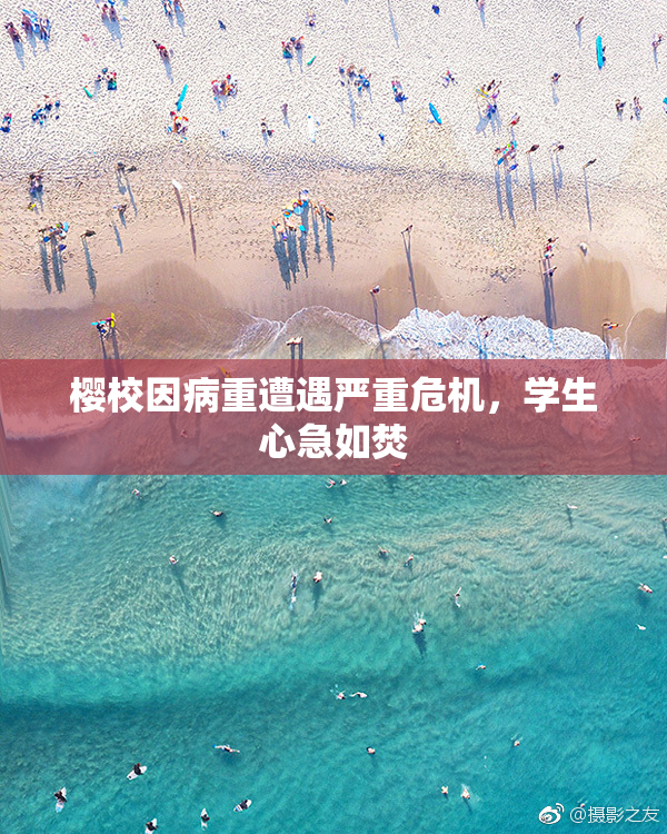 樱校因病重遭遇严重危机，学生心急如焚