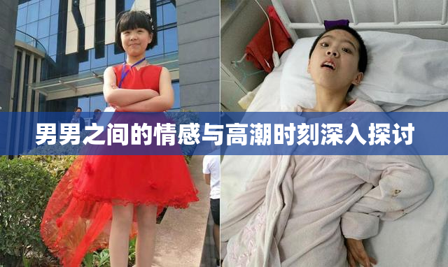 男男之间的情感与高潮时刻深入探讨