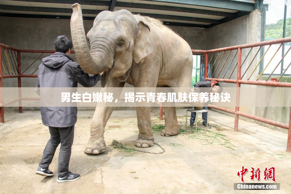 男生白嫩秘，揭示青春肌肤保养秘诀