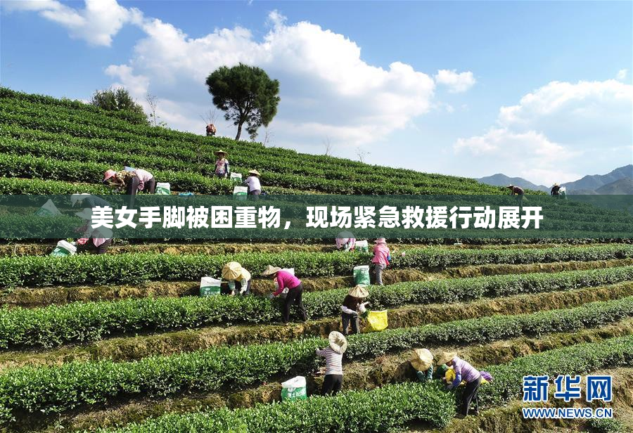 美女手脚被困重物，现场紧急救援行动展开
