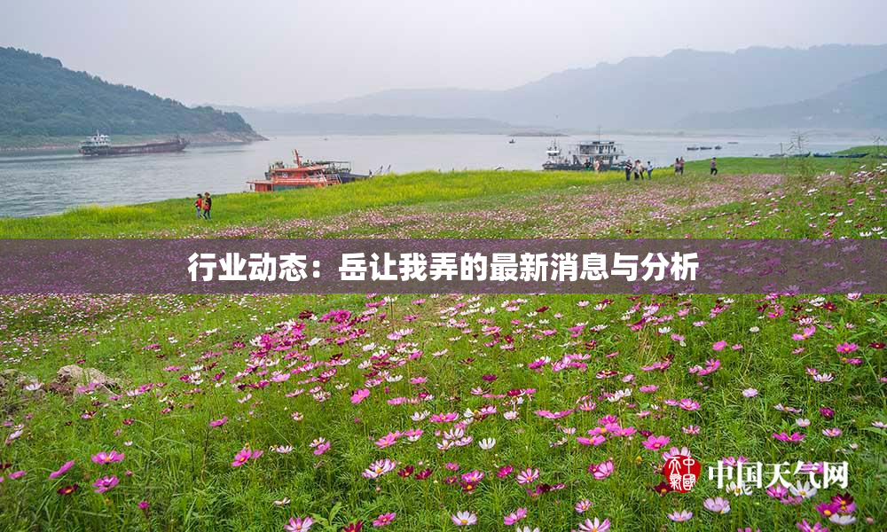 行业动态：岳让我弄的最新消息与分析