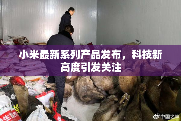 小米最新系列产品发布，科技新高度引发关注