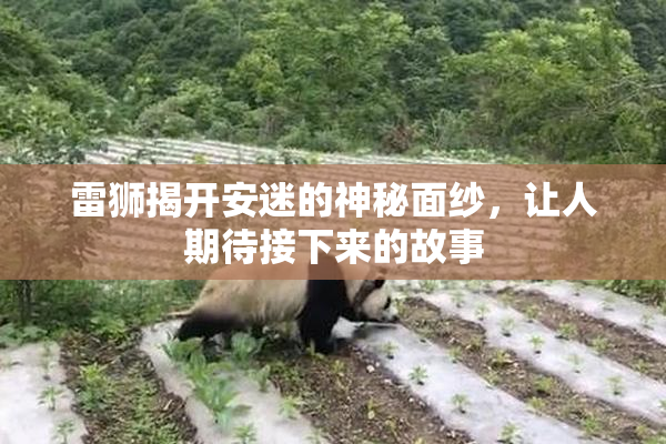 雷狮揭开安迷的神秘面纱，让人期待接下来的故事