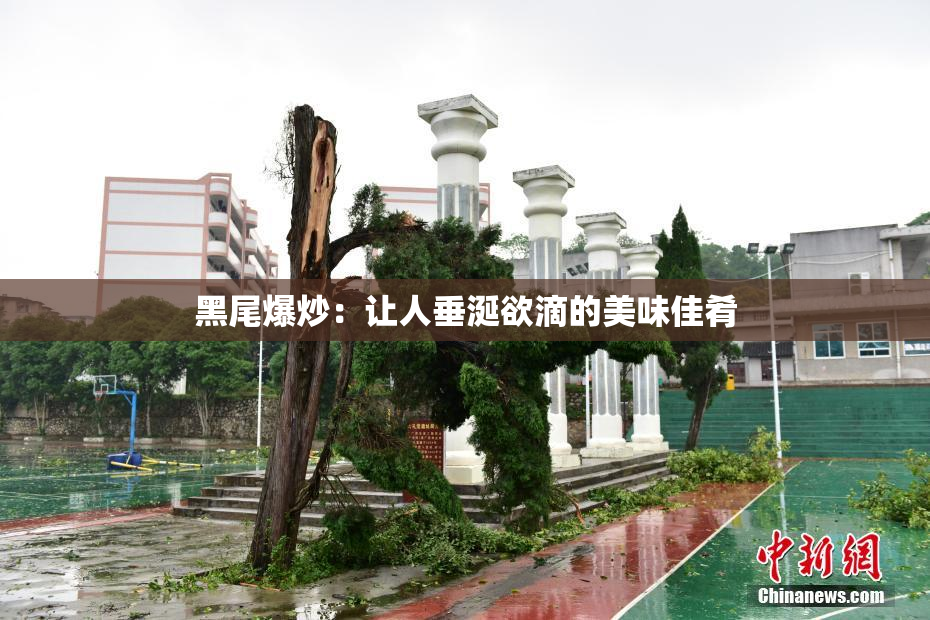 黑尾爆炒：让人垂涎欲滴的美味佳肴