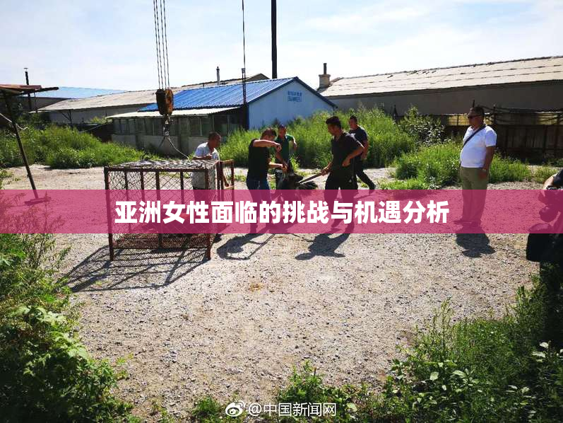 亚洲女性面临的挑战与机遇分析