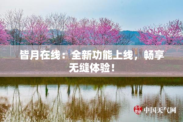 皆月在线：全新功能上线，畅享无缝体验！