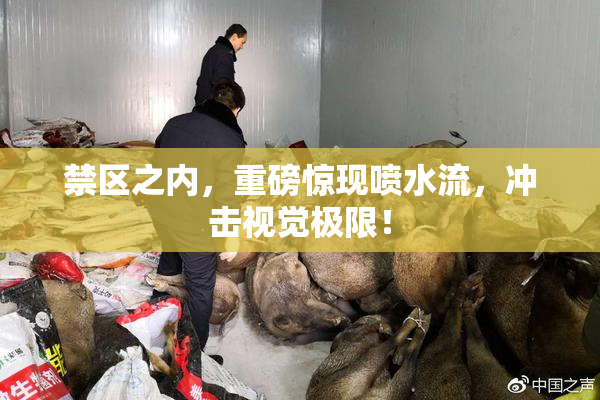 禁区之内，重磅惊现喷水流，冲击视觉极限！