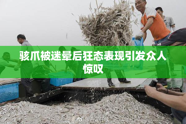 骇爪被迷晕后狂态表现引发众人惊叹