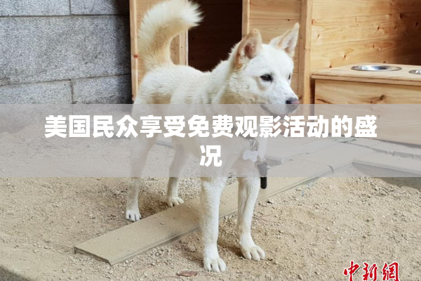 美国民众享受免费观影活动的盛况