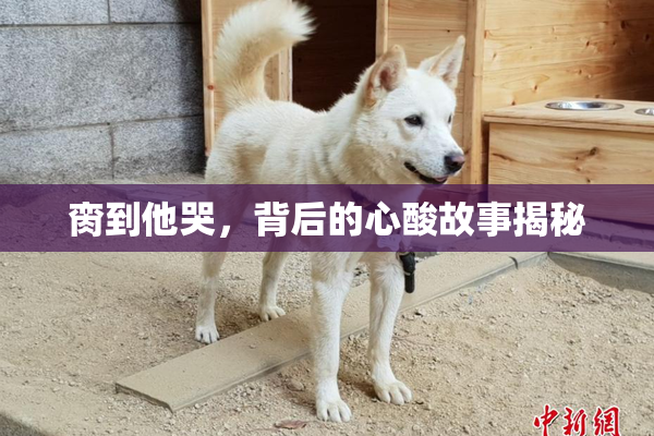 脔到他哭，背后的心酸故事揭秘