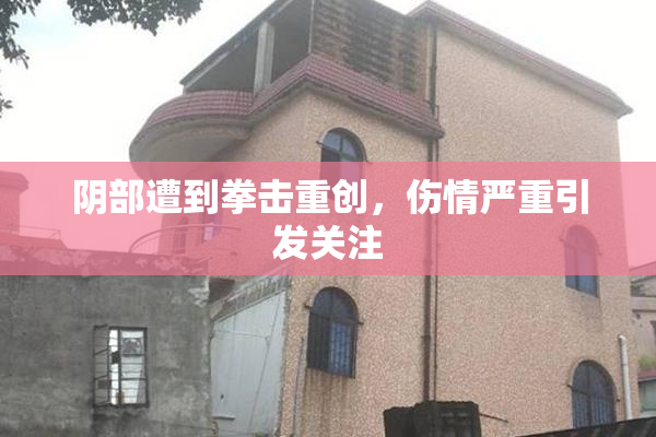 阴部遭到拳击重创，伤情严重引发关注