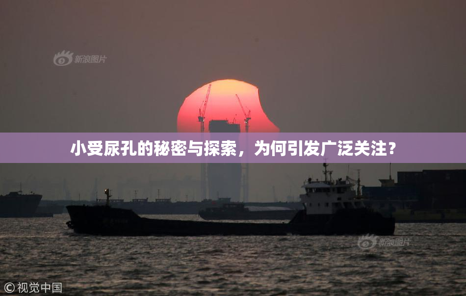 小受尿孔的秘密与探索，为何引发广泛关注？