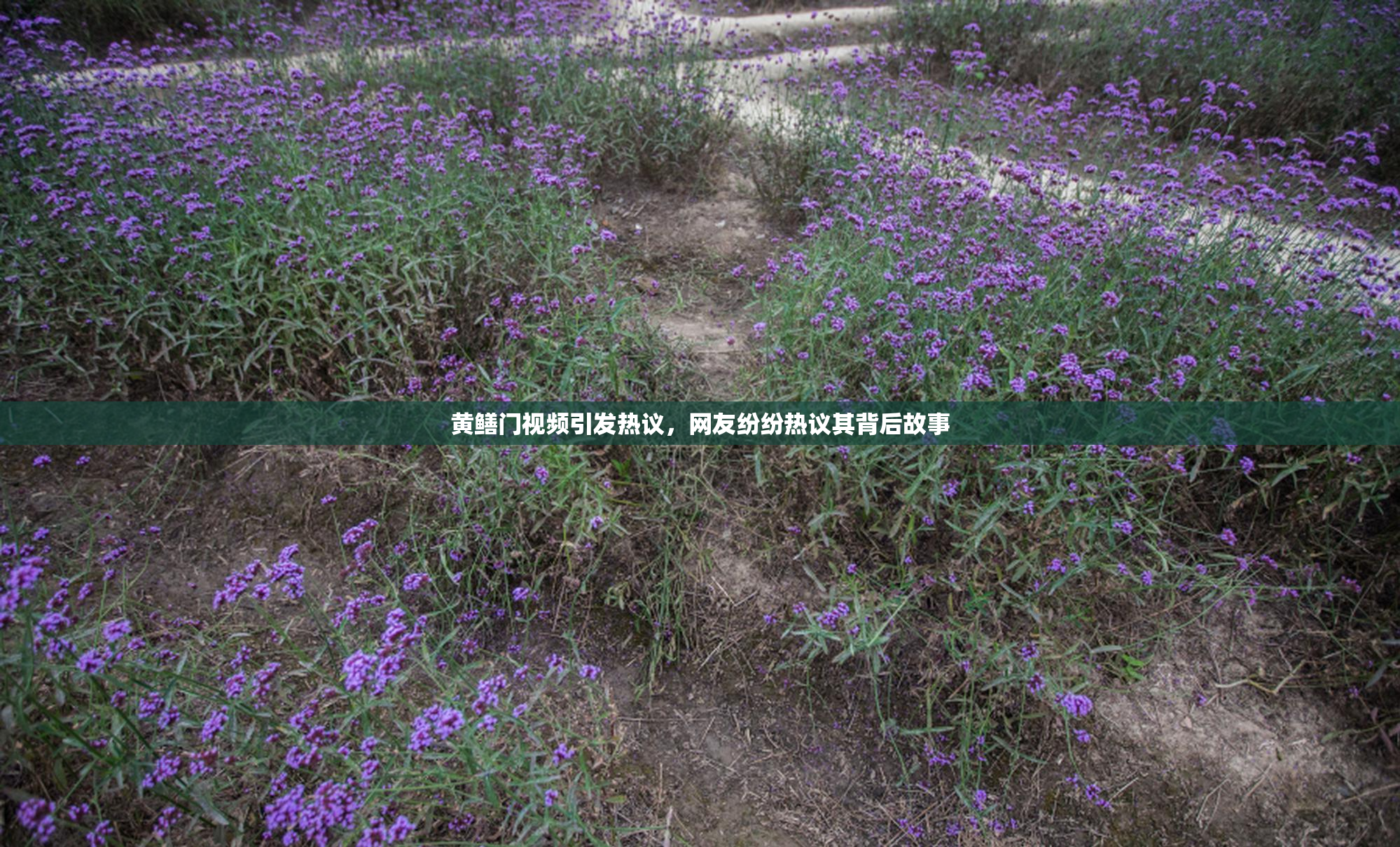 黄鳝门视频引发热议，网友纷纷热议其背后故事