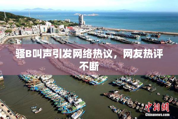 骚B叫声引发网络热议，网友热评不断
