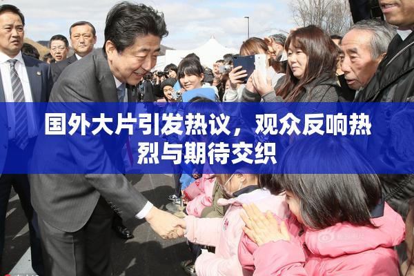 国外大片引发热议，观众反响热烈与期待交织