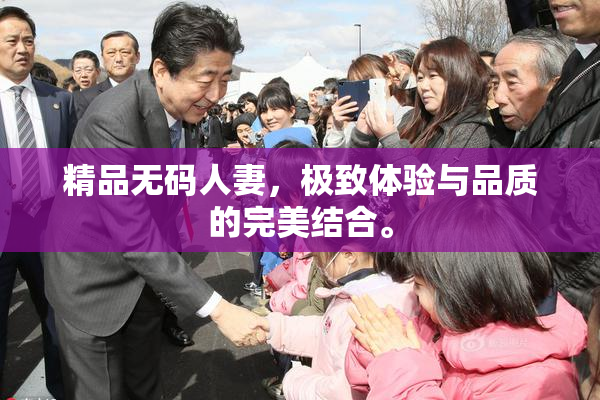 精品无码人妻，极致体验与品质的完美结合。