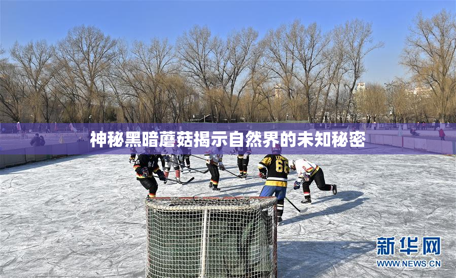 神秘黑暗蘑菇揭示自然界的未知秘密