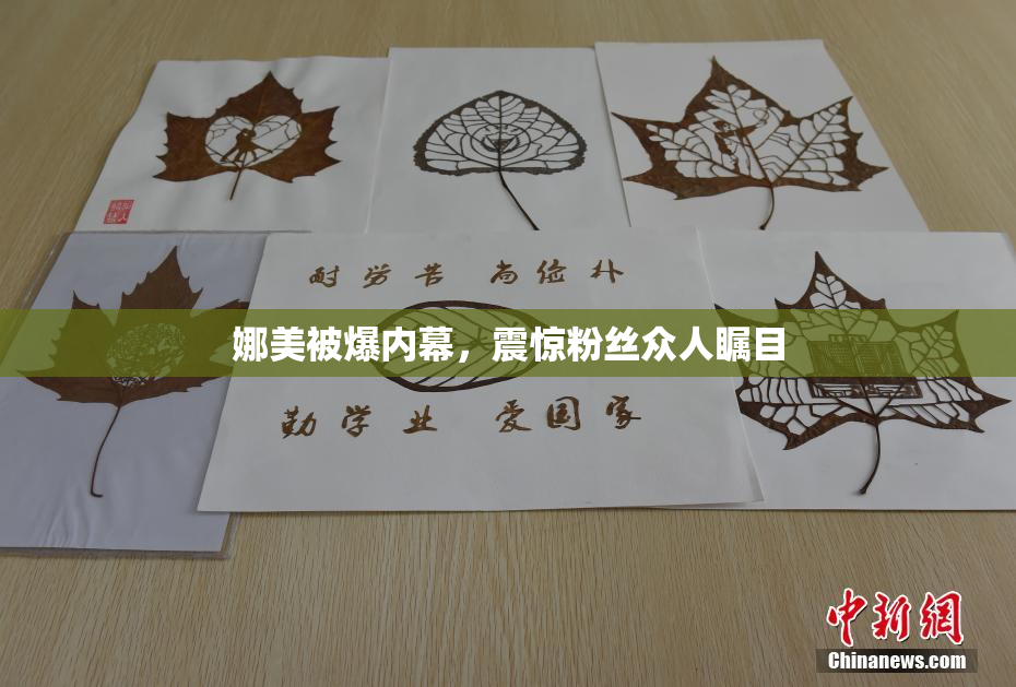 娜美被爆内幕，震惊粉丝众人瞩目