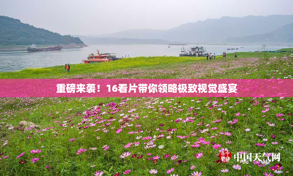 重磅来袭！16看片带你领略极致视觉盛宴