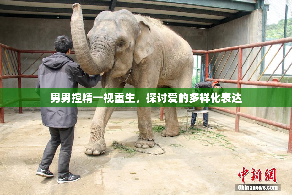 男男控精一视重生，探讨爱的多样化表达
