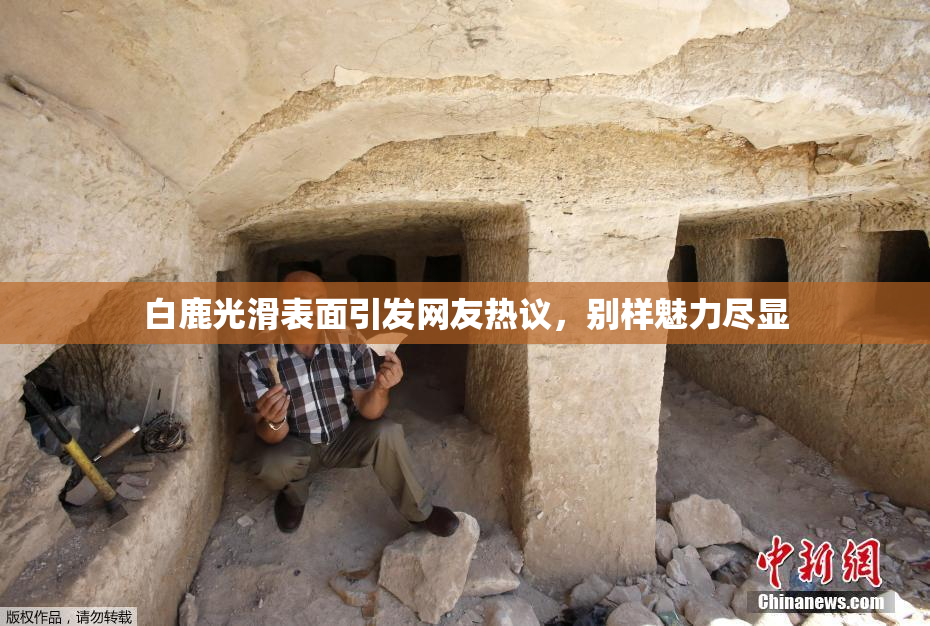 白鹿光滑表面引发网友热议，别样魅力尽显
