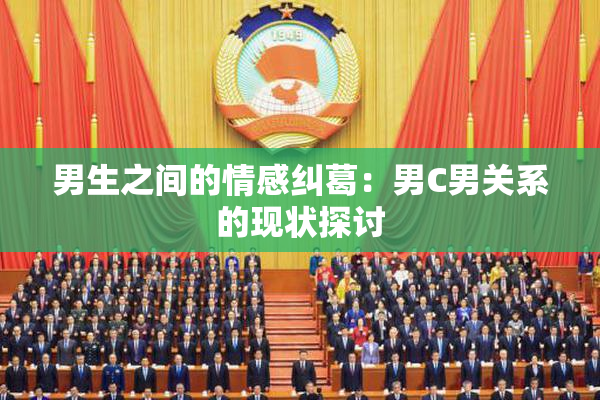 男生之间的情感纠葛：男C男关系的现状探讨