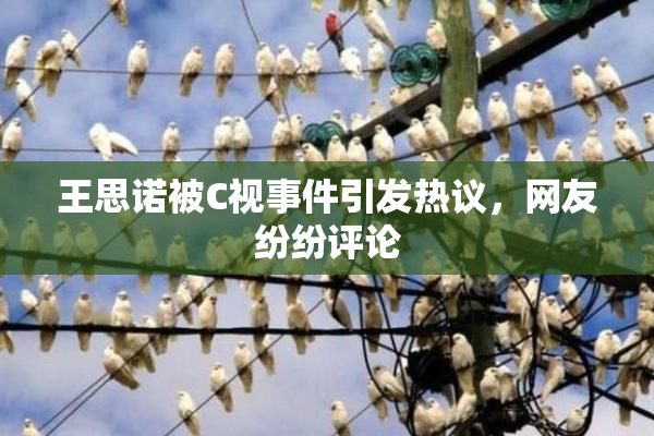 王思诺被C视事件引发热议，网友纷纷评论