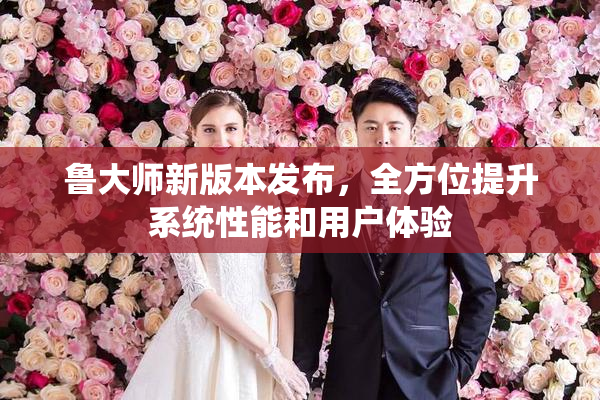 鲁大师新版本发布，全方位提升系统性能和用户体验