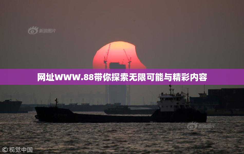 网址WWW.88带你探索无限可能与精彩内容