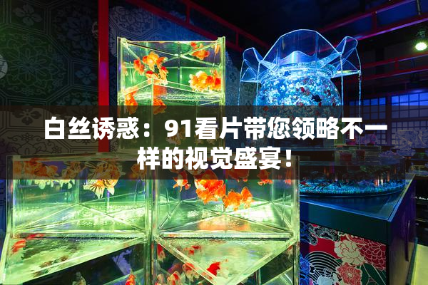 白丝诱惑：91看片带您领略不一样的视觉盛宴！