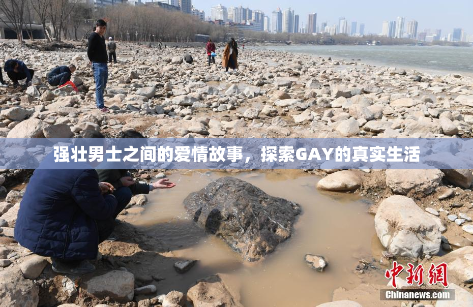 强壮男士之间的爱情故事，探索GAY的真实生活