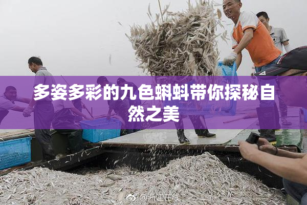 多姿多彩的九色蝌蚪带你探秘自然之美