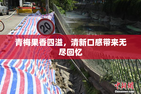 青梅果香四溢，清新口感带来无尽回忆