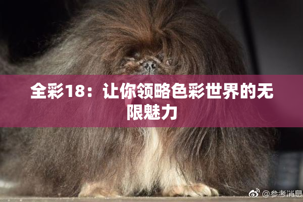 全彩18：让你领略色彩世界的无限魅力