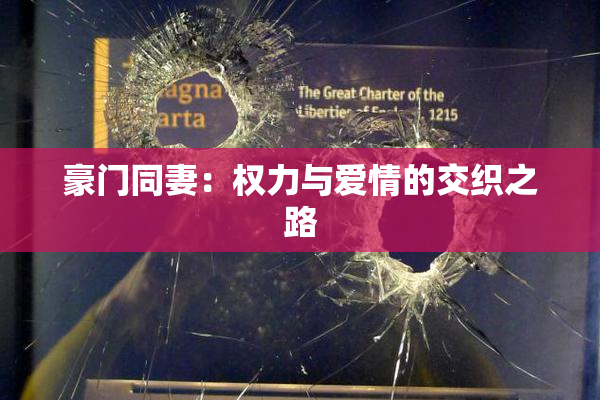 豪门同妻：权力与爱情的交织之路