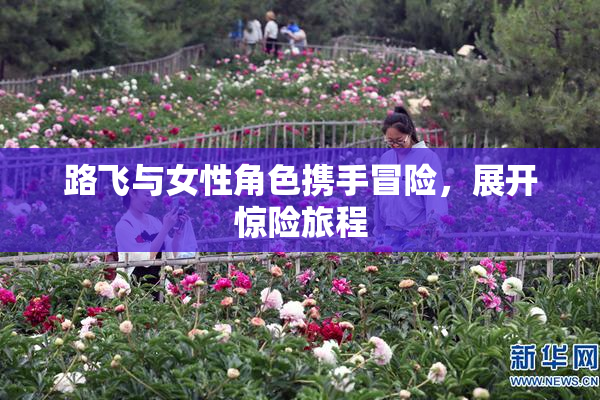 路飞与女性角色携手冒险，展开惊险旅程