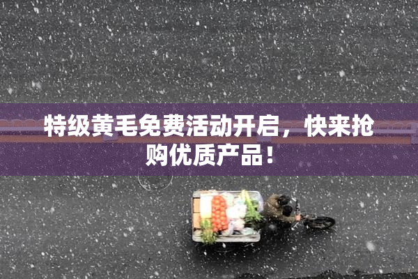 特级黄毛免费活动开启，快来抢购优质产品！