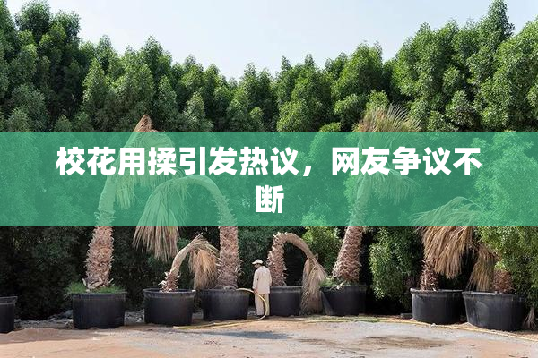 校花用揉引发热议，网友争议不断