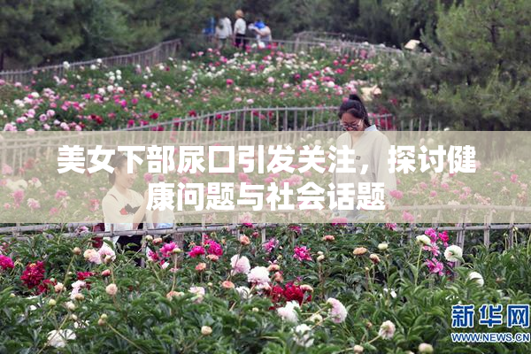 美女下部尿囗引发关注，探讨健康问题与社会话题