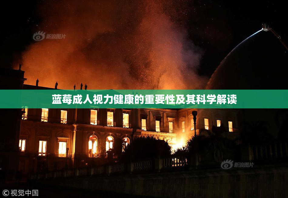 蓝莓成人视力健康的重要性及其科学解读
