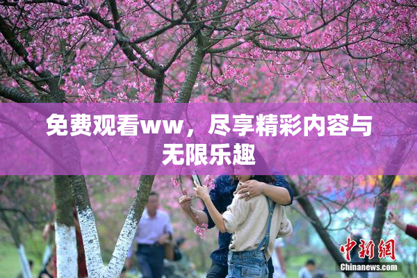 免费观看ww，尽享精彩内容与无限乐趣