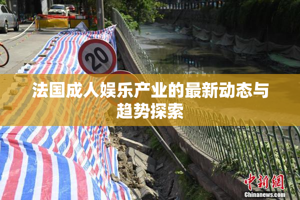 法国成人娱乐产业的最新动态与趋势探索