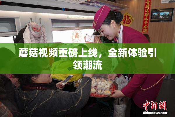 蘑菇视频重磅上线，全新体验引领潮流