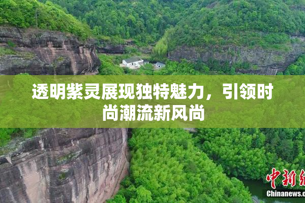 透明紫灵展现独特魅力，引领时尚潮流新风尚