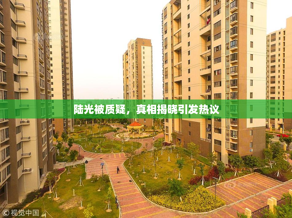 陆光被质疑，真相揭晓引发热议