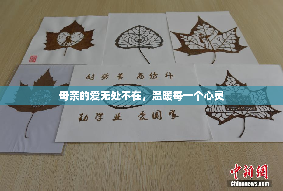 母亲的爱无处不在，温暖每一个心灵
