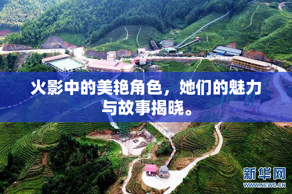 火影中的美艳角色，她们的魅力与故事揭晓。
